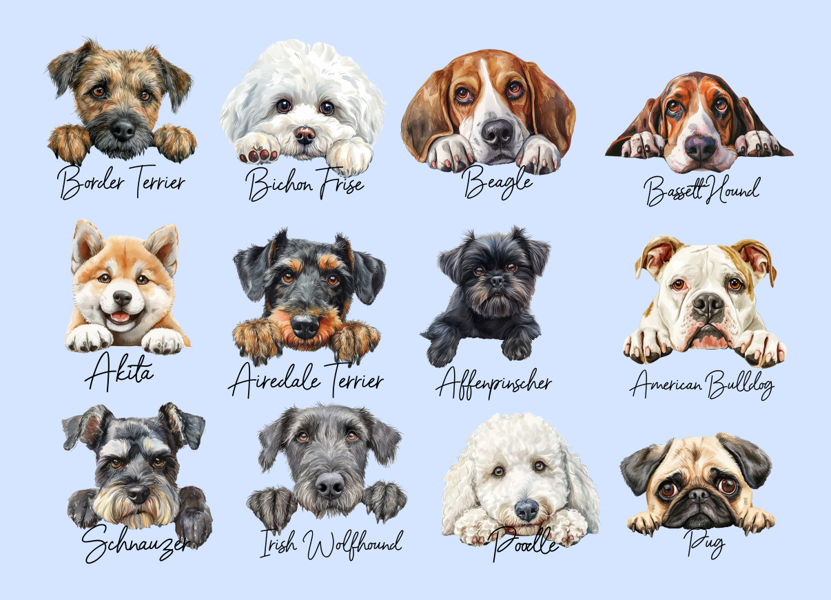 Personalised Dog Coaster