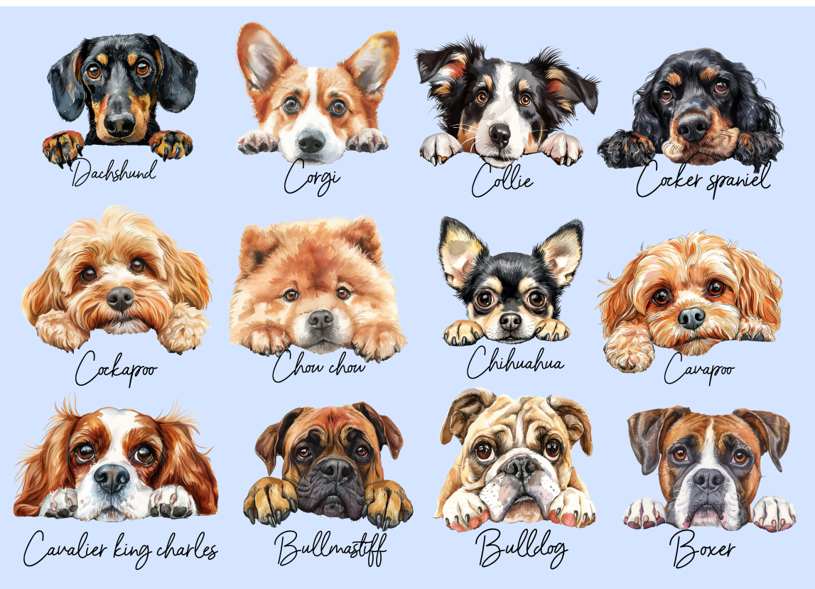 Personalised Dog Coaster