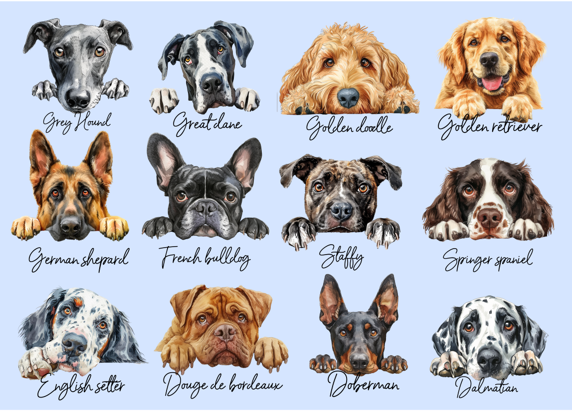 Personalised Dog Coaster