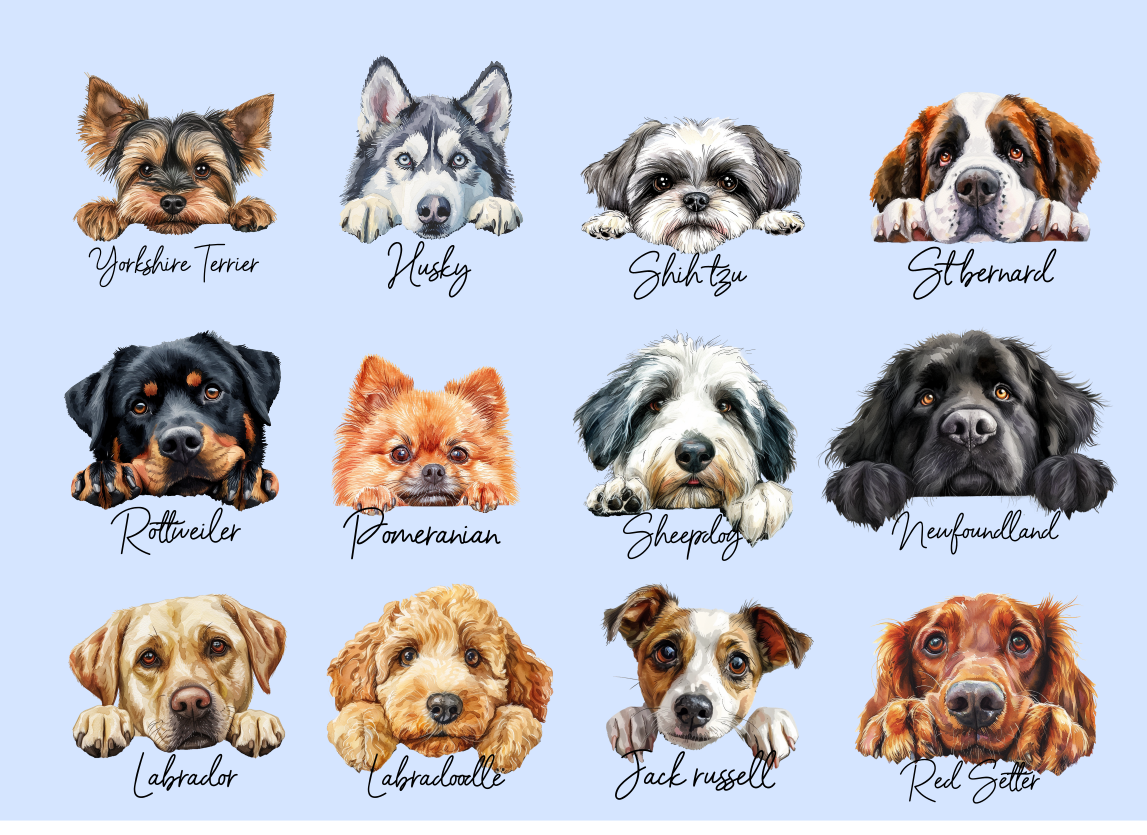 Personalised Dog Coaster