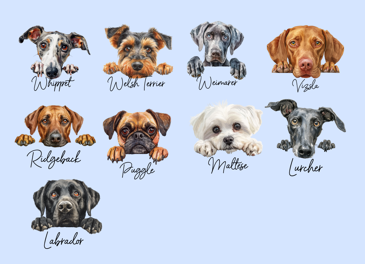 Personalised Dog Coaster